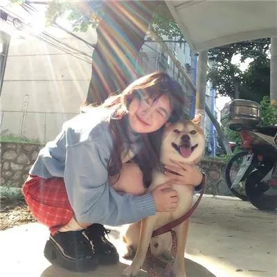 【高分青春】《溺水小刀》菅田将晖小松菜奈：傲娇神明少年与美丽东京少女的极致拉扯，美得让人窒息