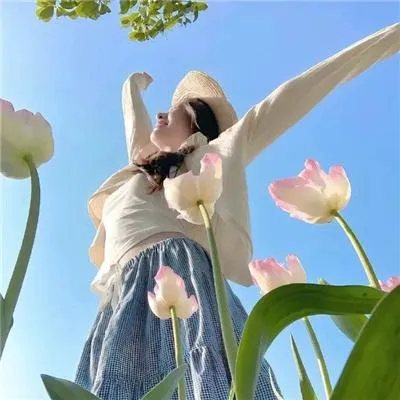 【推理神剧】《绝对零度》1-4季全集在线：利用大数据预测未发犯罪，上户彩泽村一树经典探案